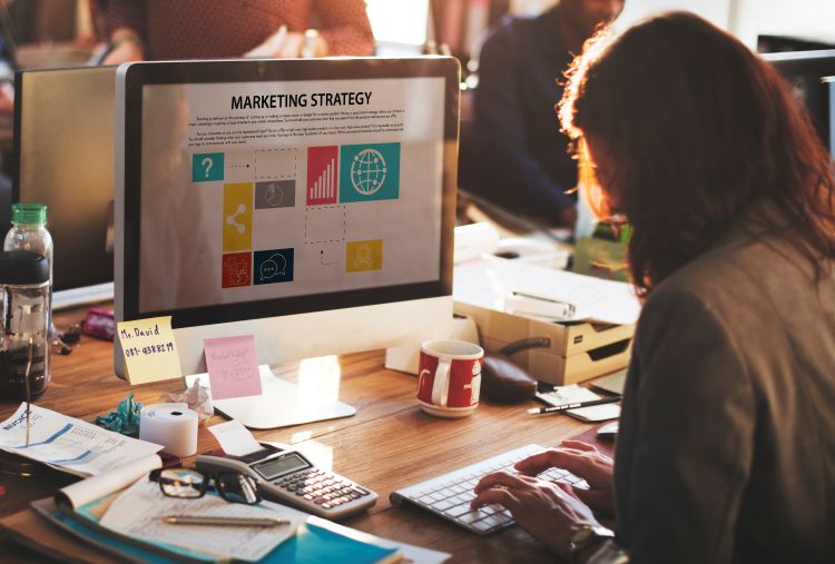 campaign management services in Delaware